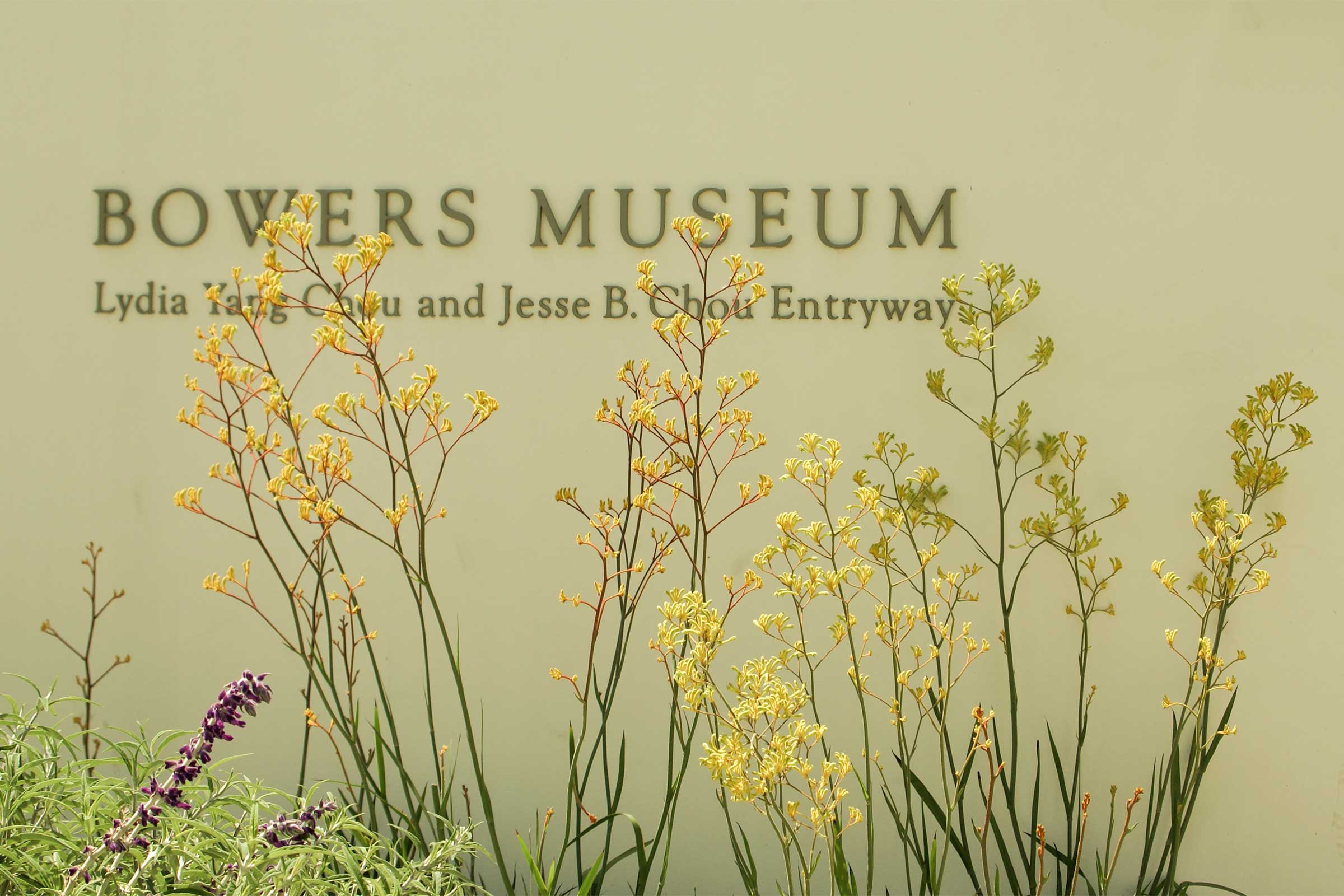 bowers museum